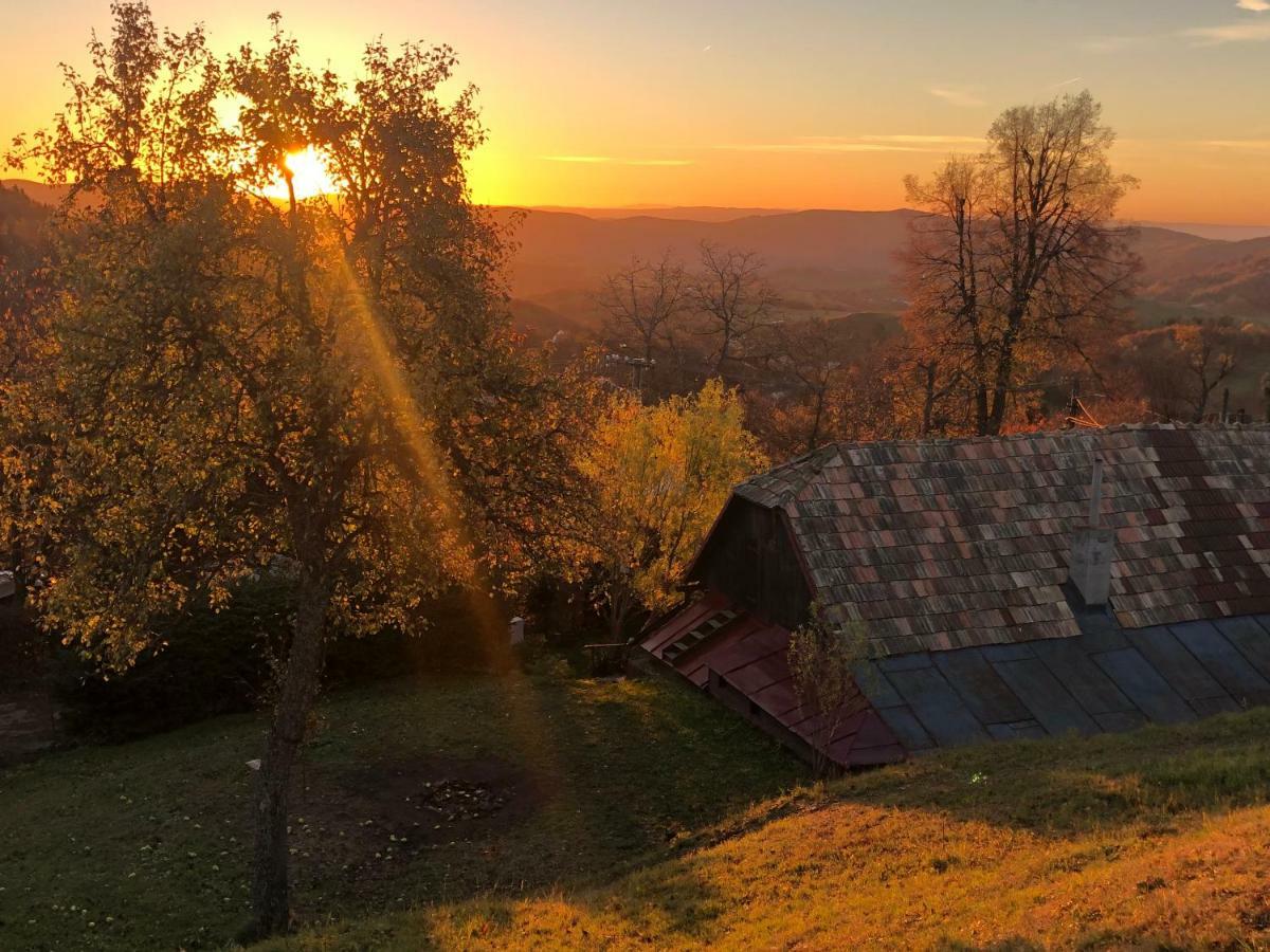 Libling Ruzovy Guest House Banska Stiavnica Exterior photo